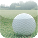Golf Score Calculator